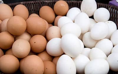 کنترل بازار تخم مرغ با مجوز واردات